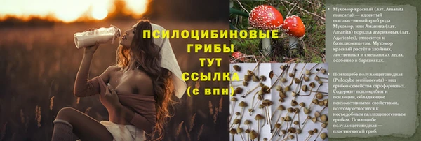 MDMA Алзамай