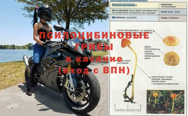 ешки Алексеевка