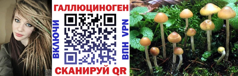 Галлюциногенные грибы мицелий  купить наркотик  Северская 